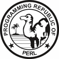 Perl script to check your domain DNS resolving 